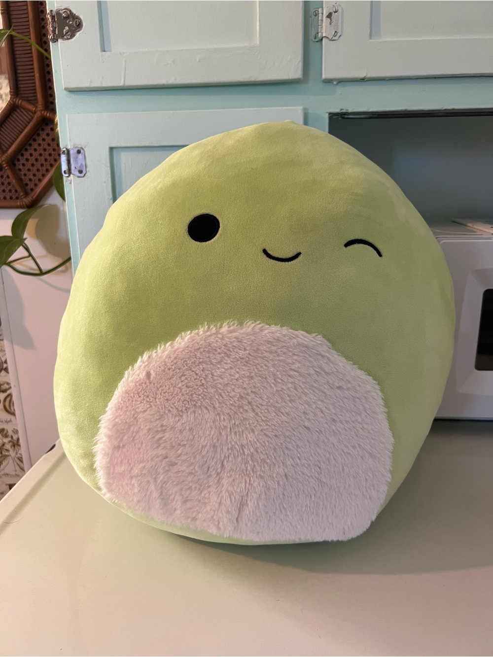 Turtle Squishmallow